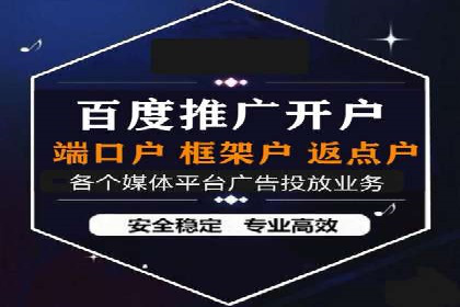 百度SEO推广公司案例分析：成功案例解析